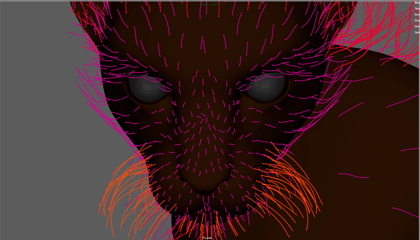 Cheetah (Yeti Grooming)