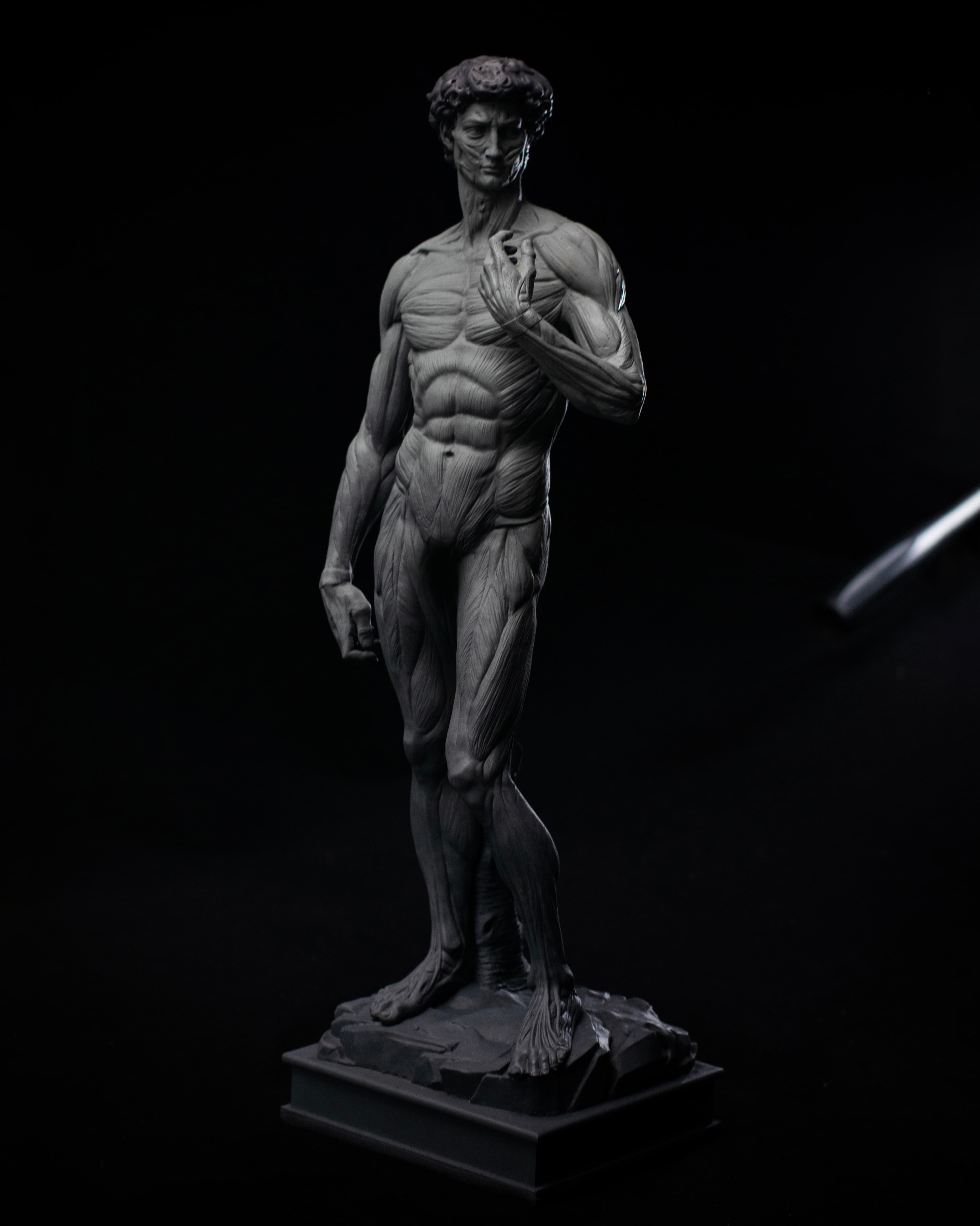 David Anatomy