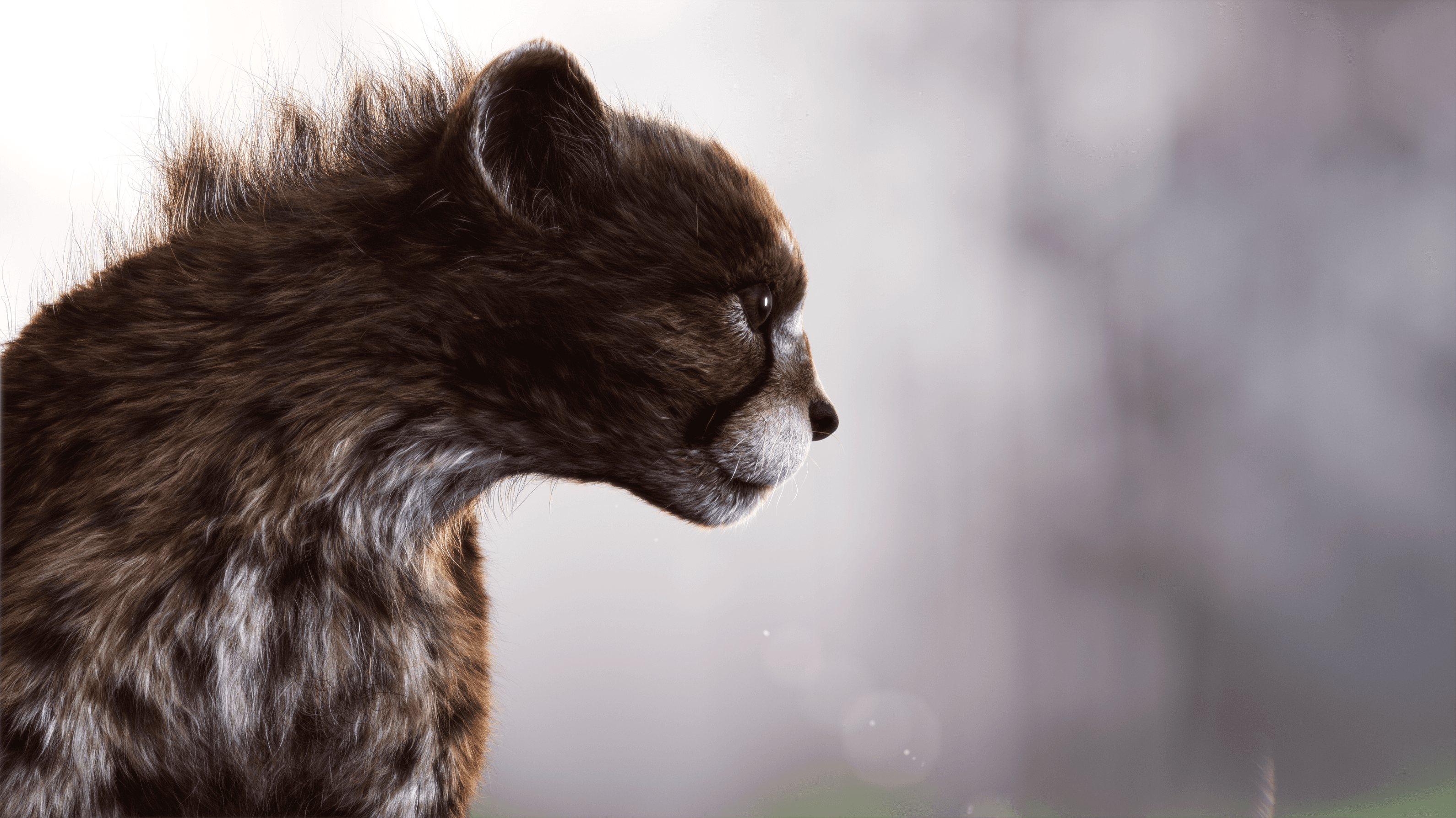 Cheetah (Yeti Grooming)