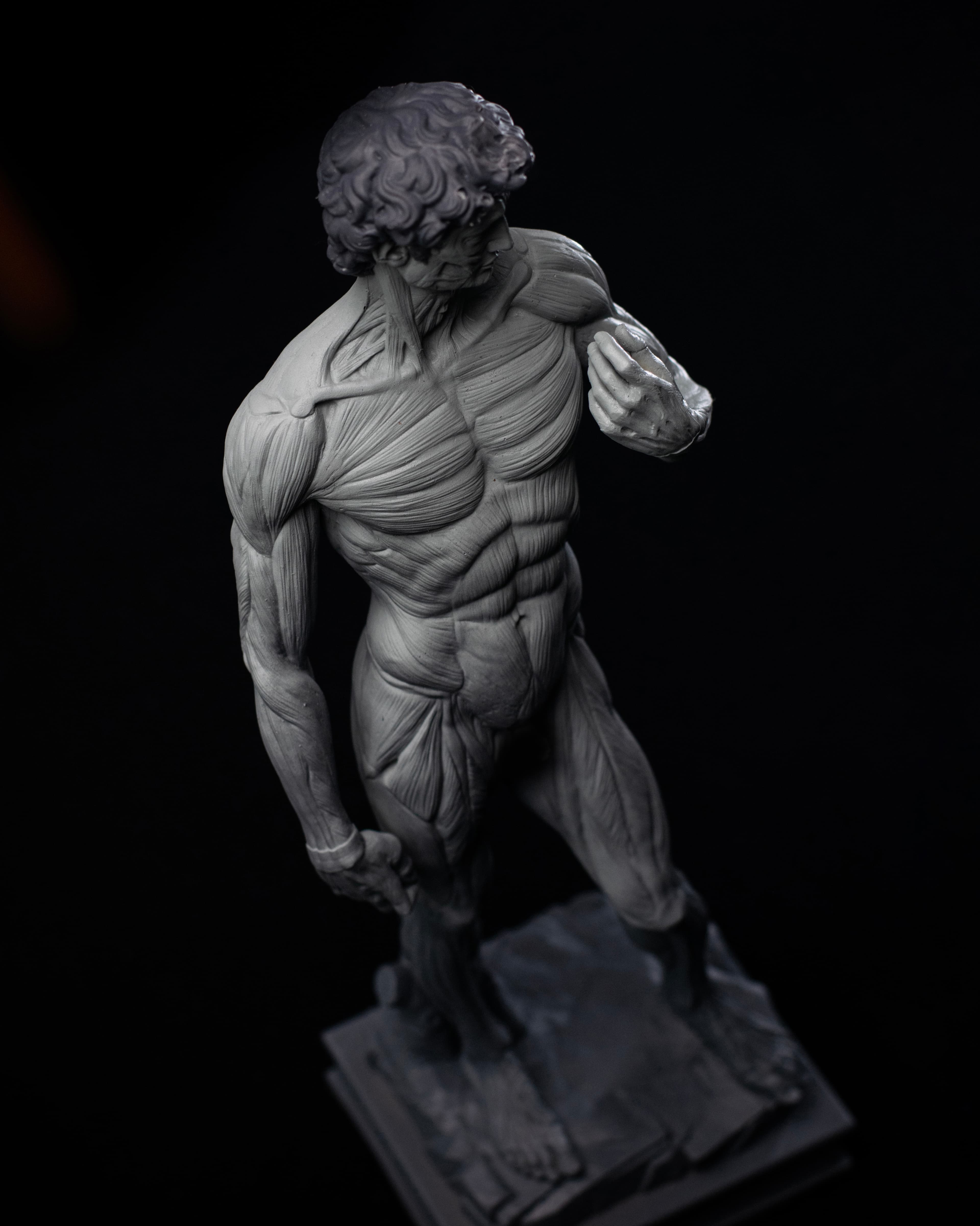 David Anatomy