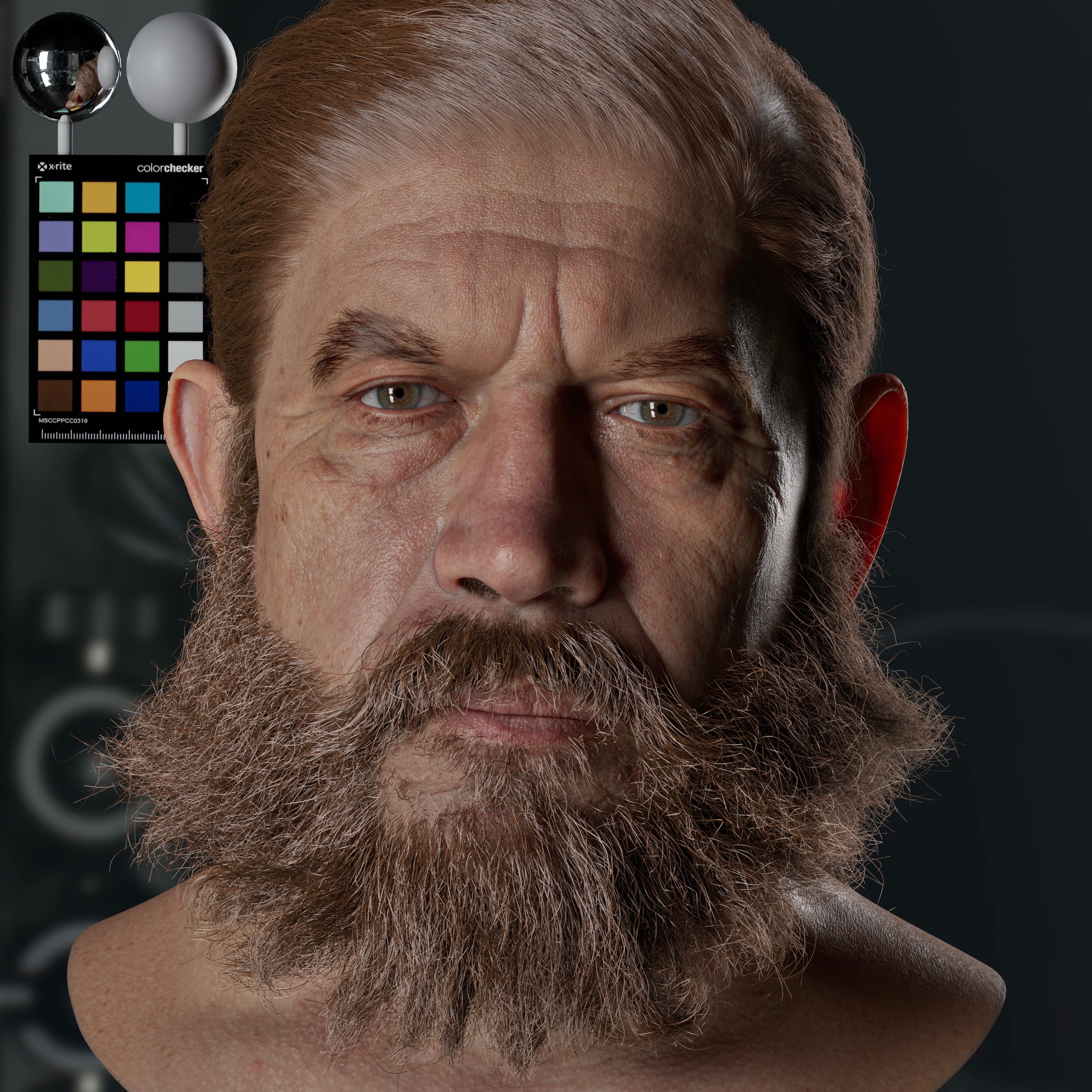 LookDev Skin vface
