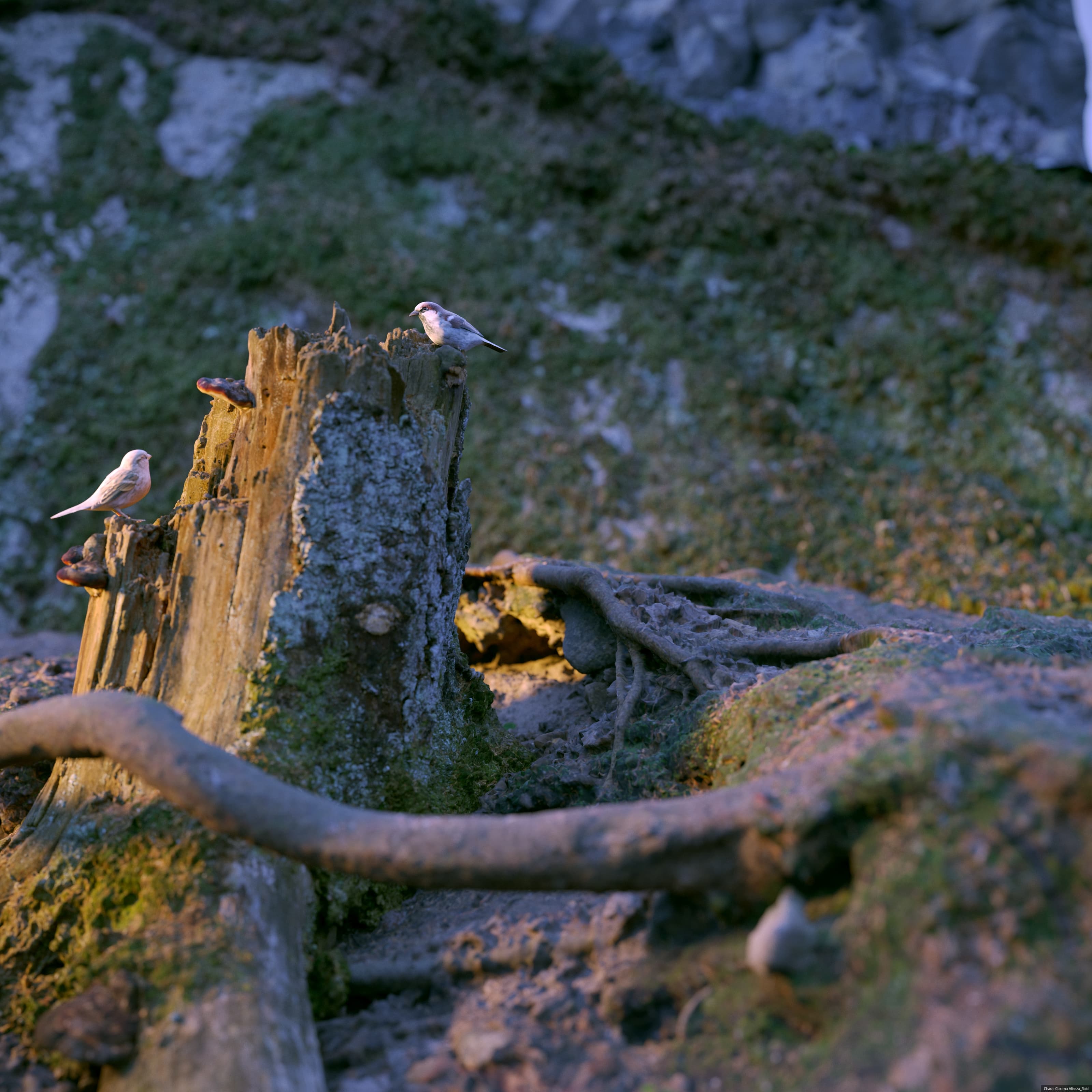 Teeny_weeny Sparrows