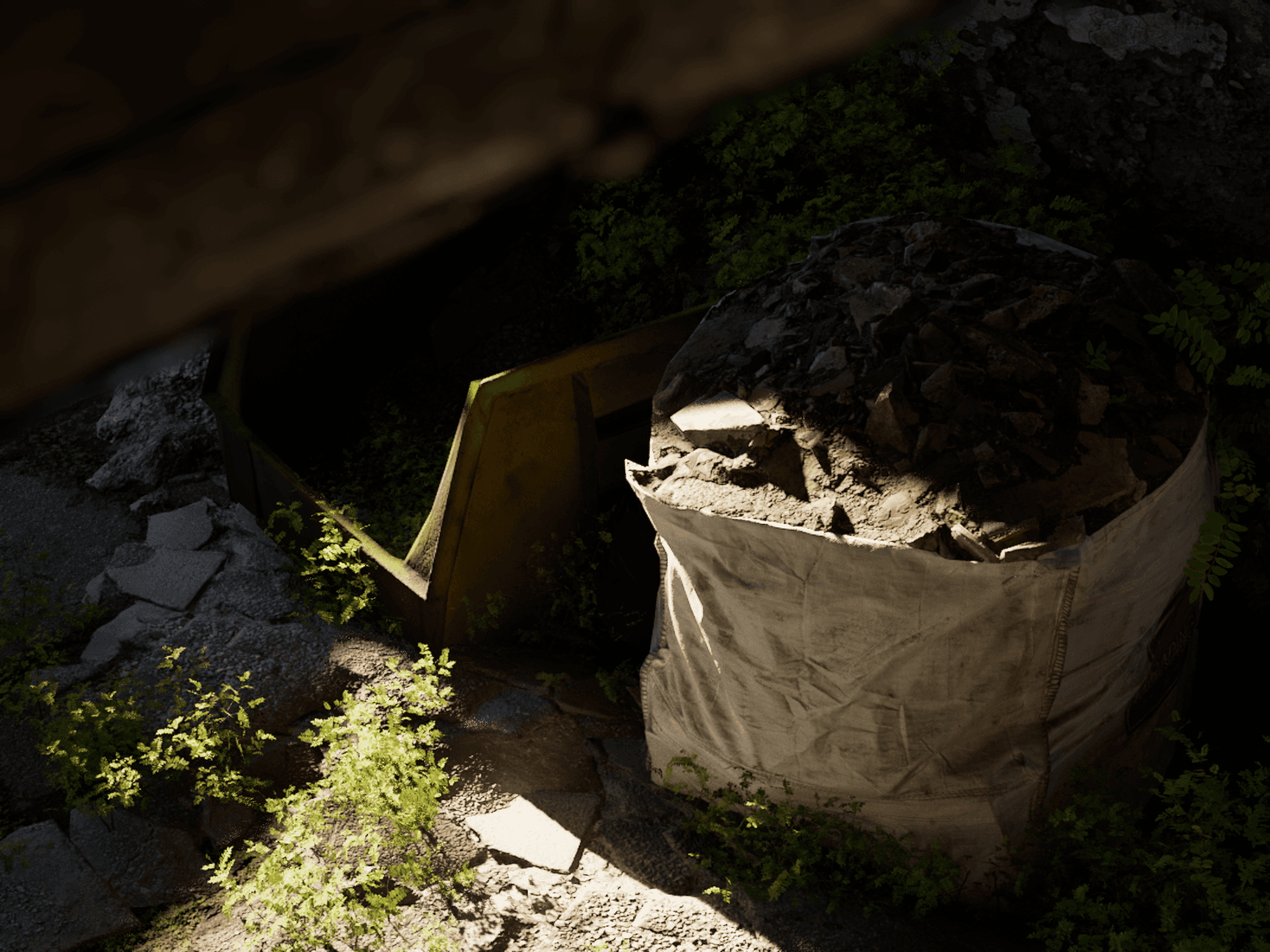 Environment