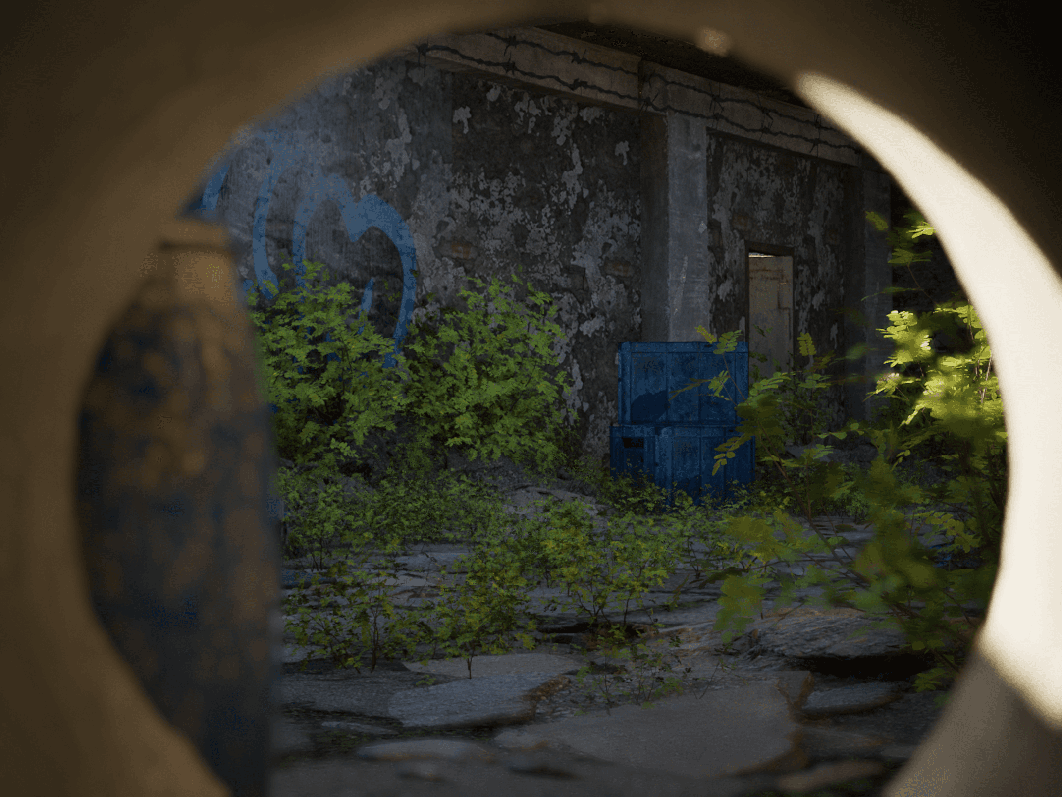 Environment
