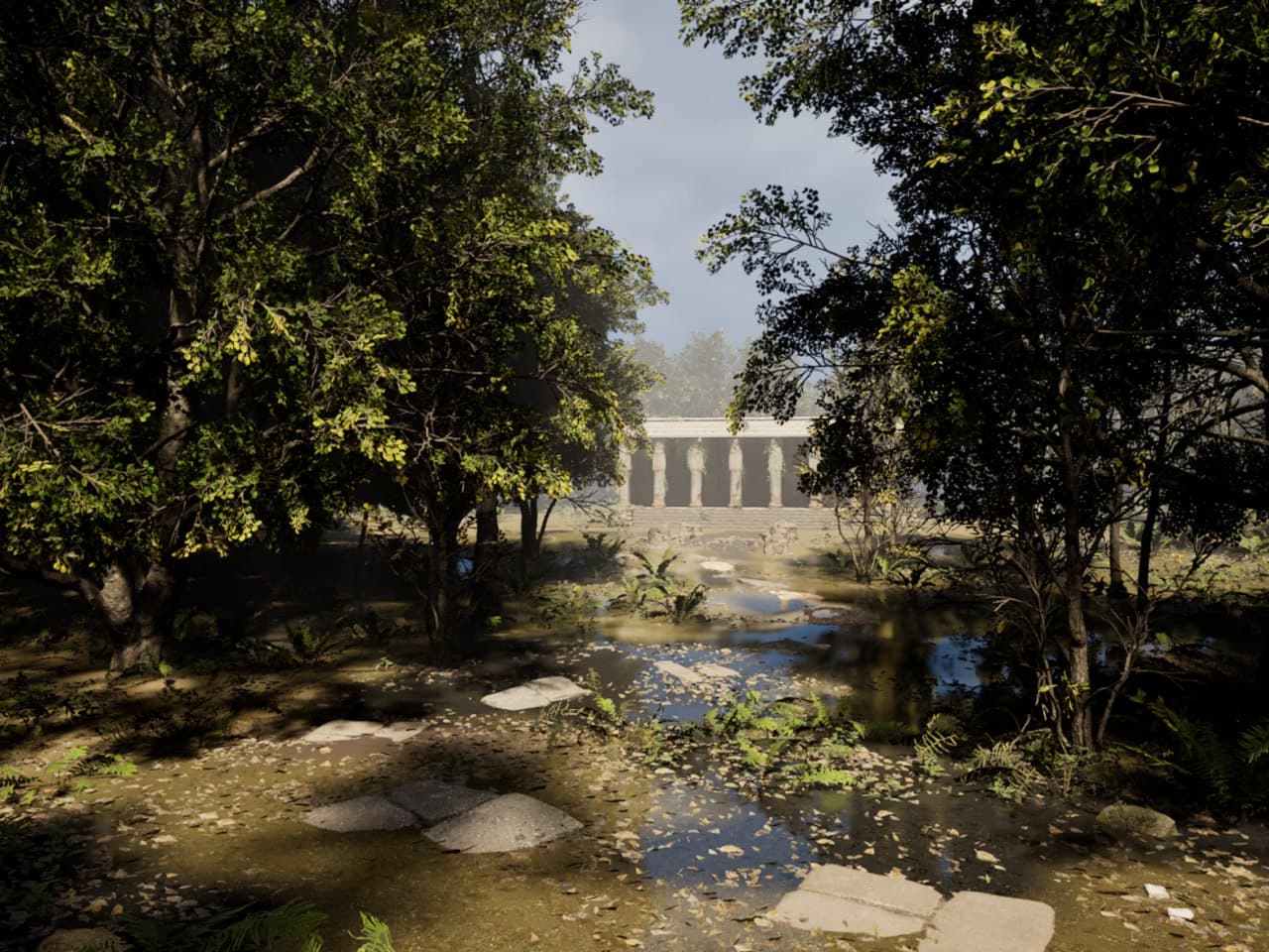 forest