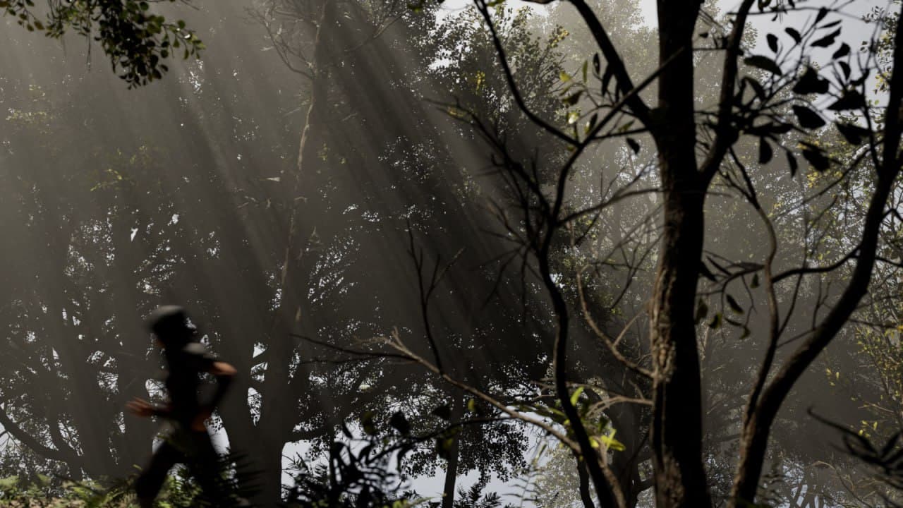 forest