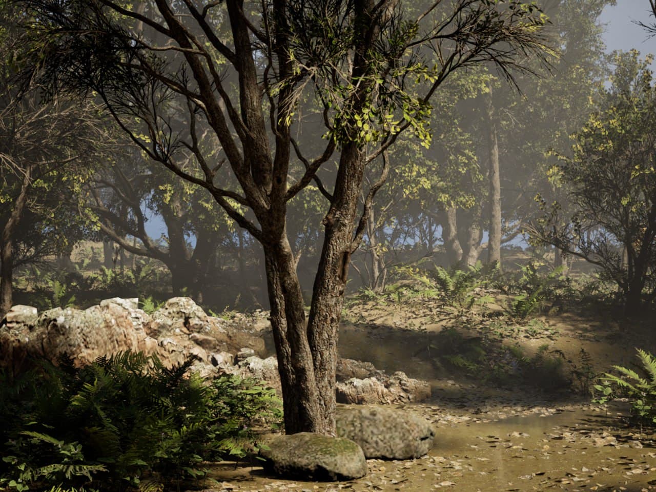 forest