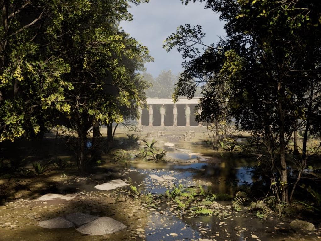 forest