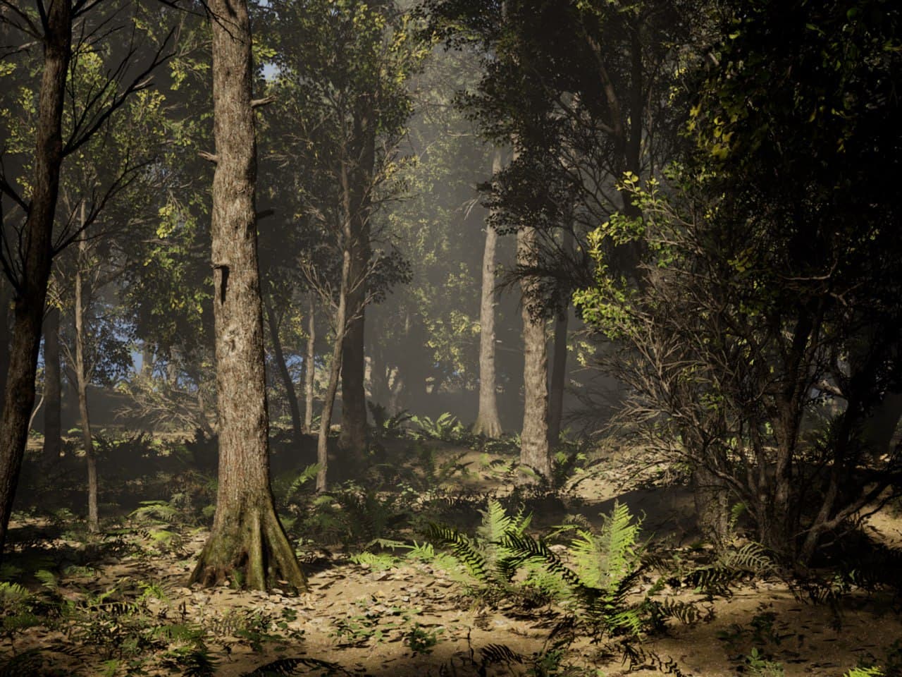forest