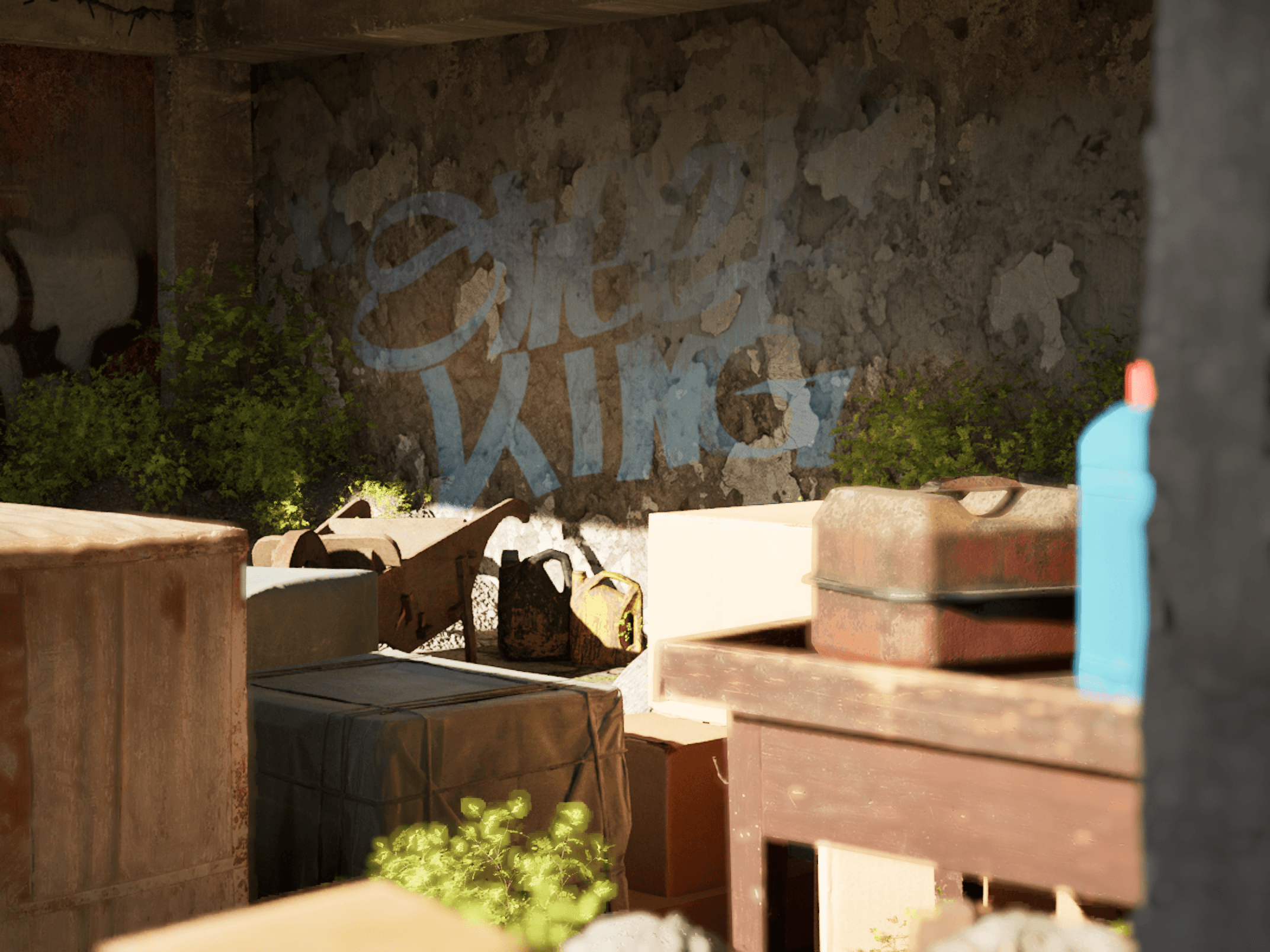 Environment