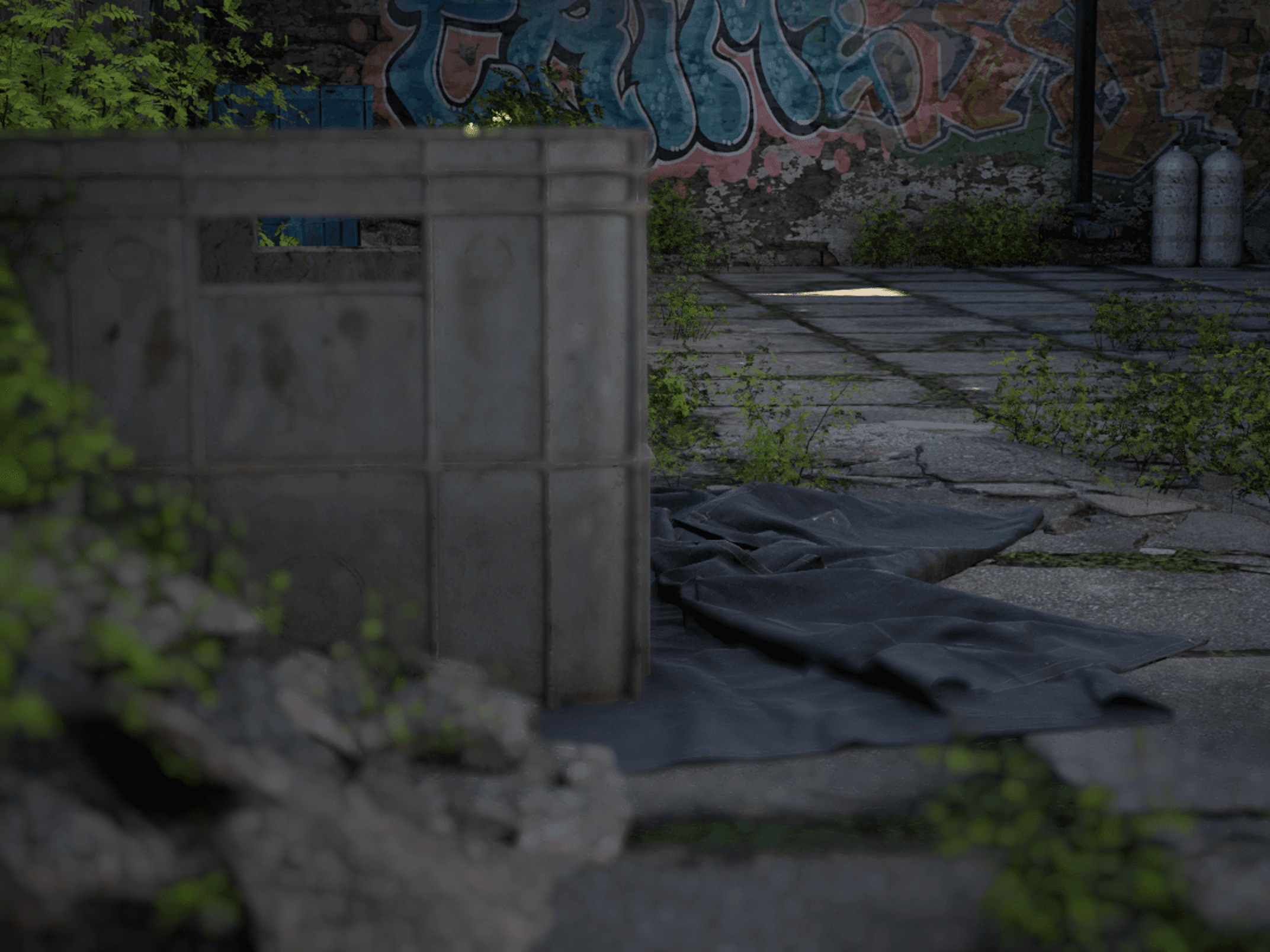 Environment