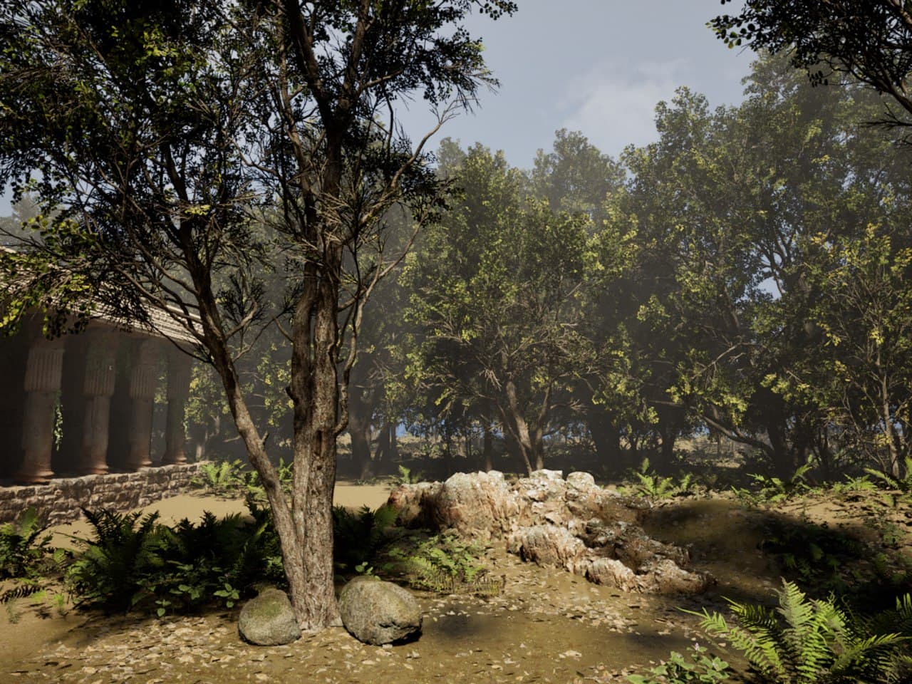 forest