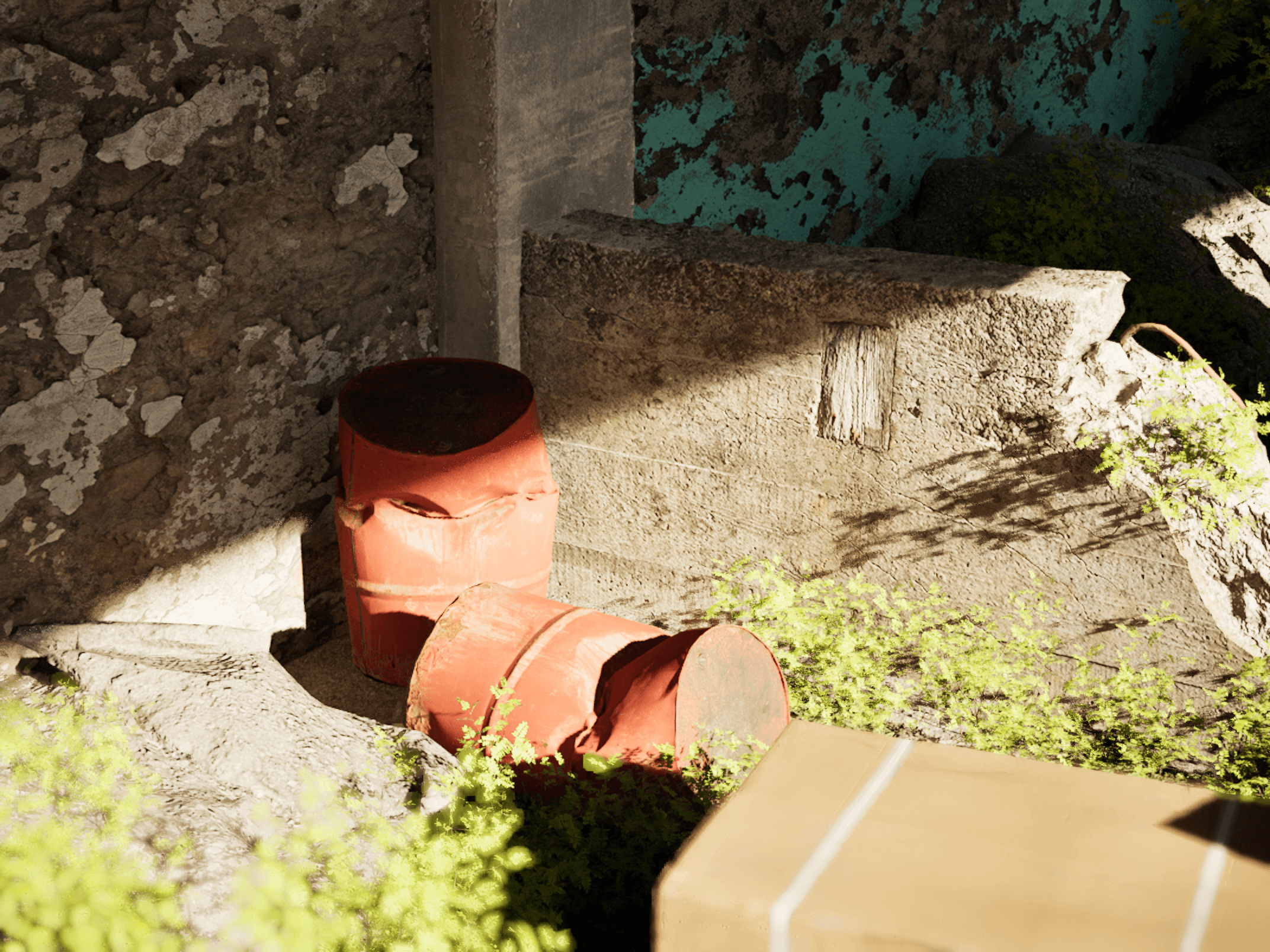 Environment