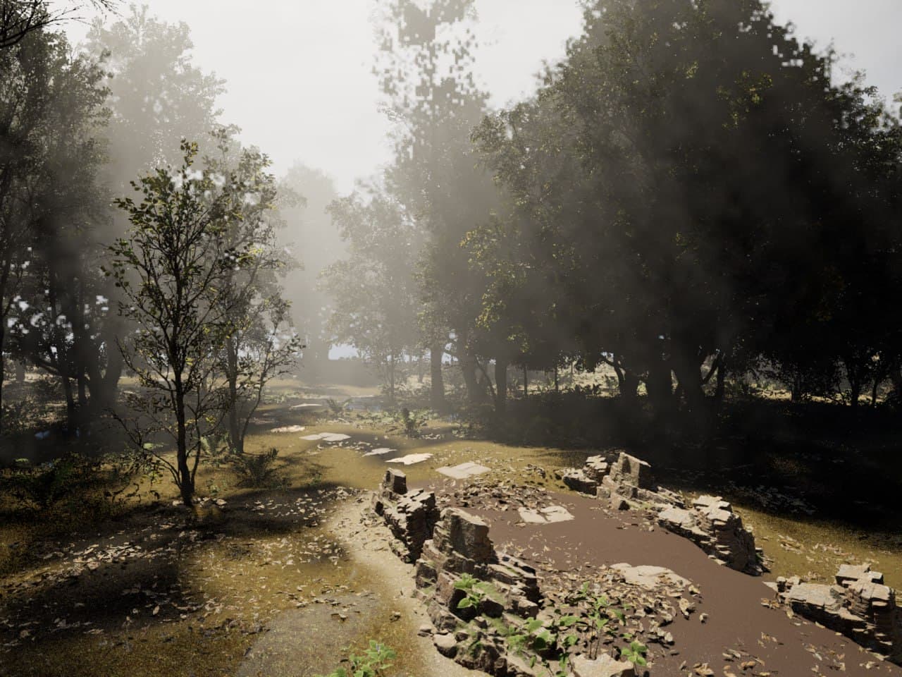 forest