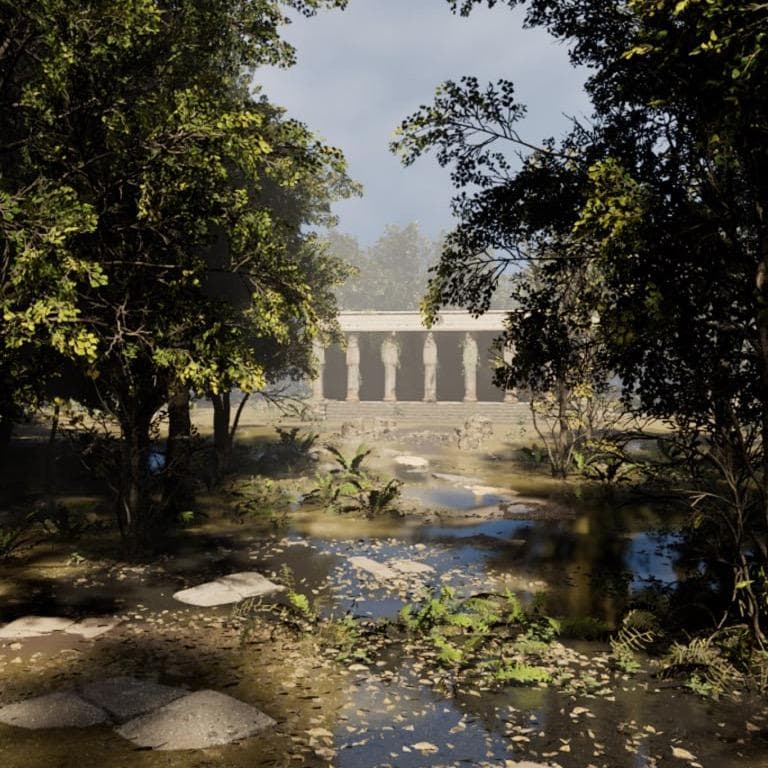 forest