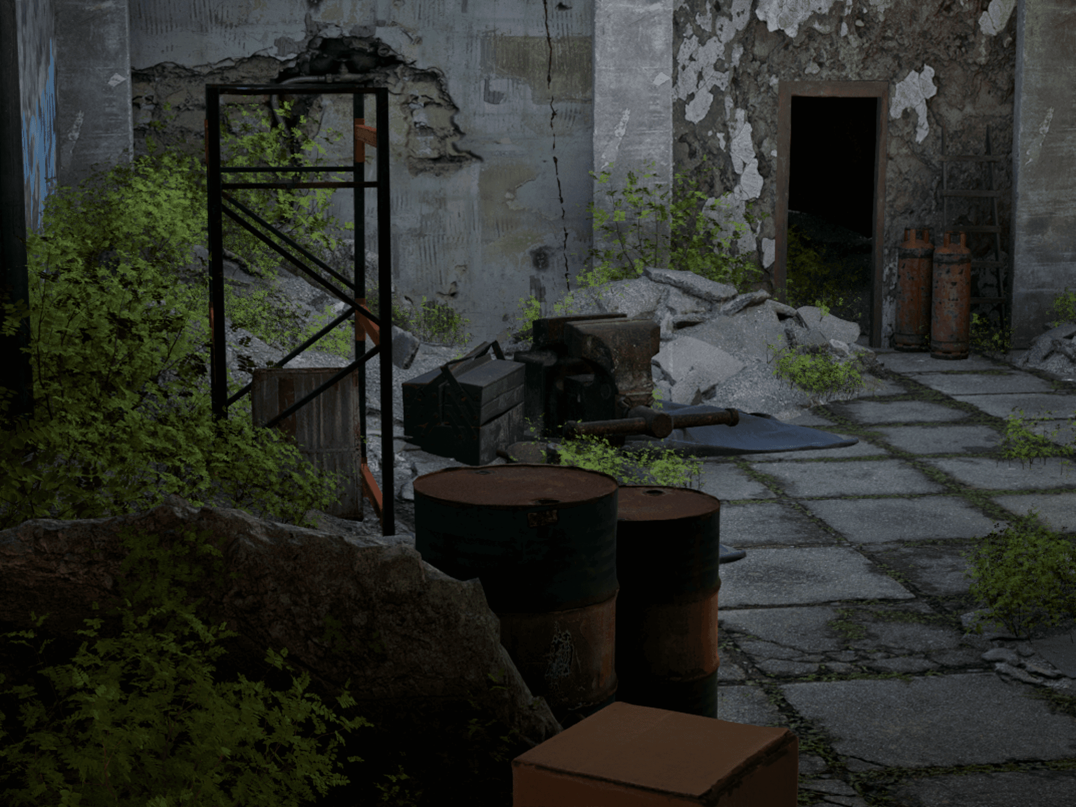 Environment