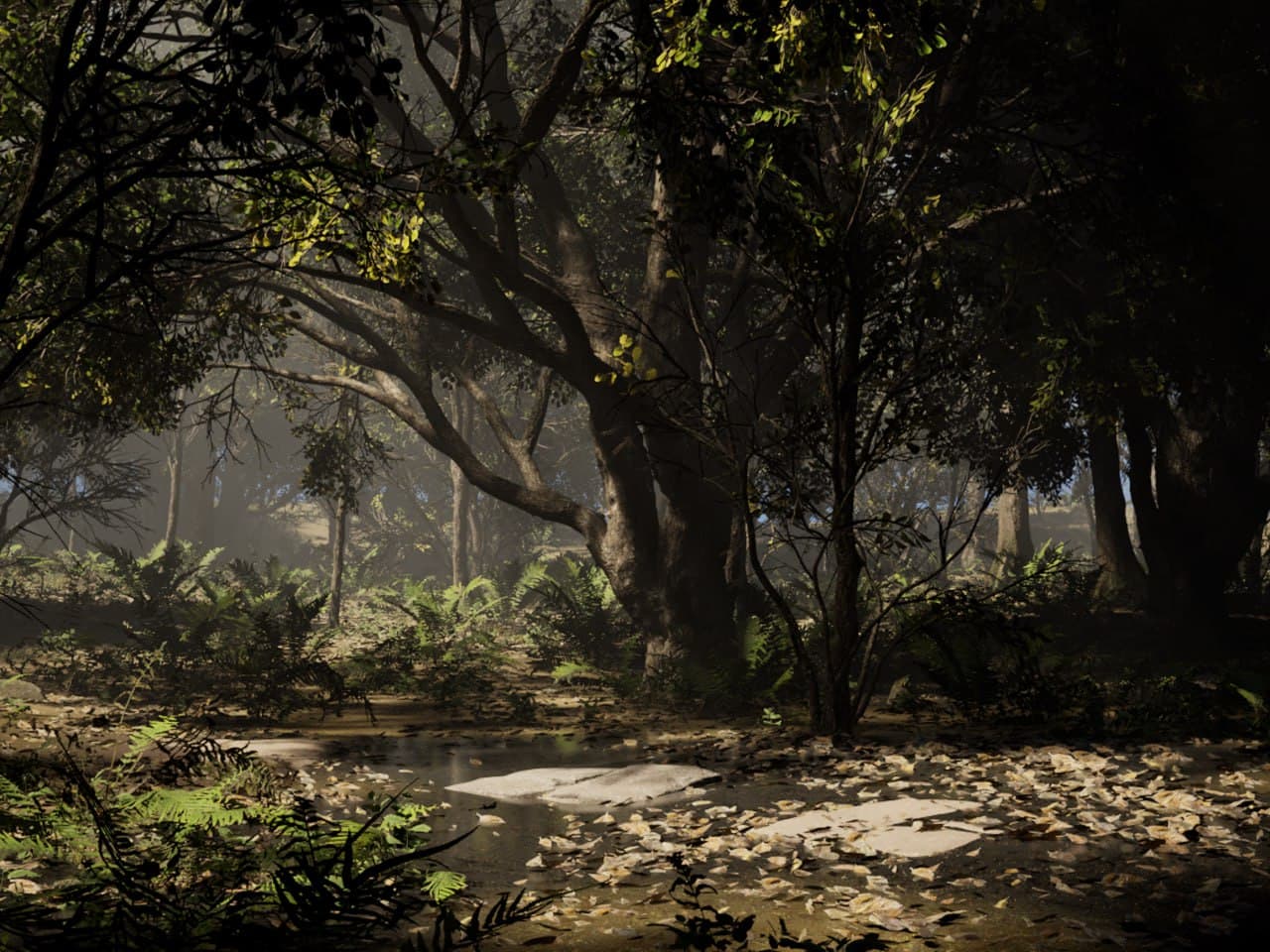 forest