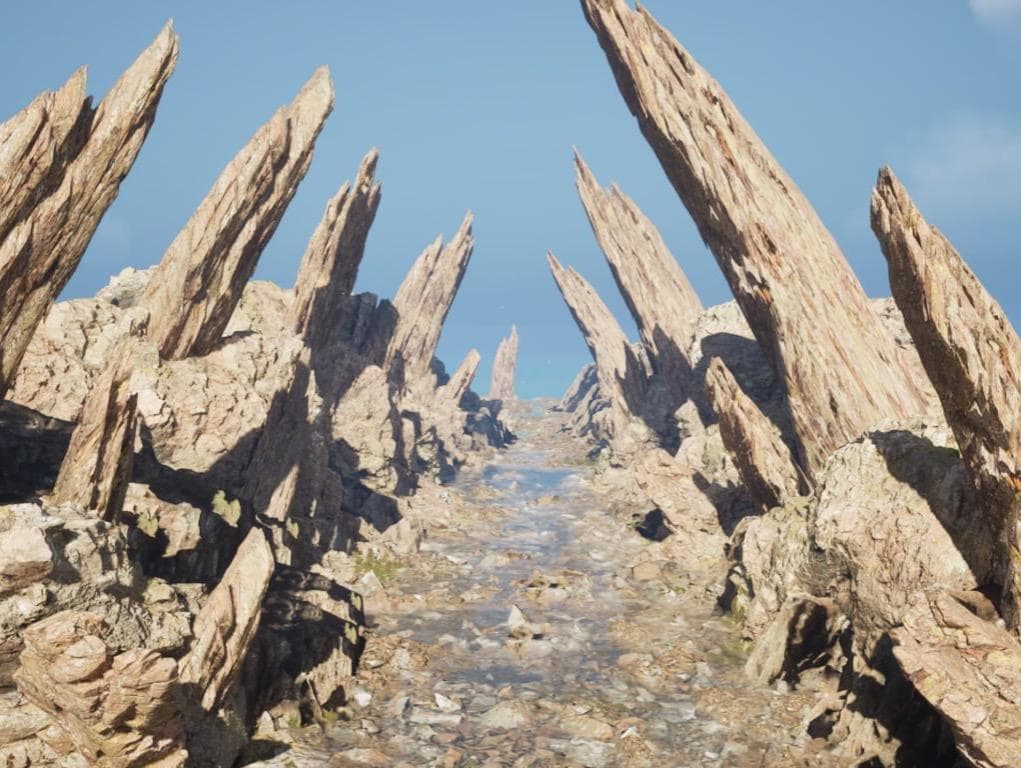 Environment