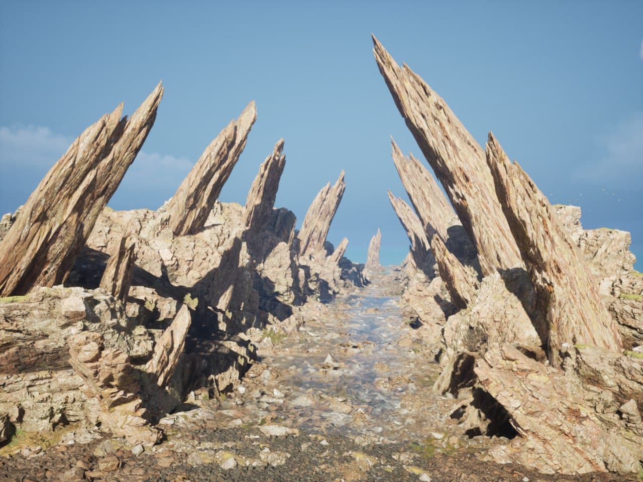 Environment