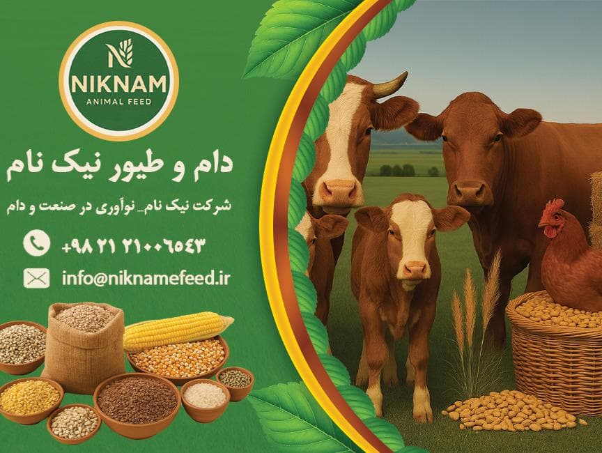 دام و طیور