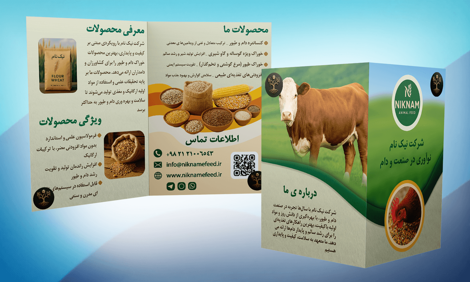 دام و طیور