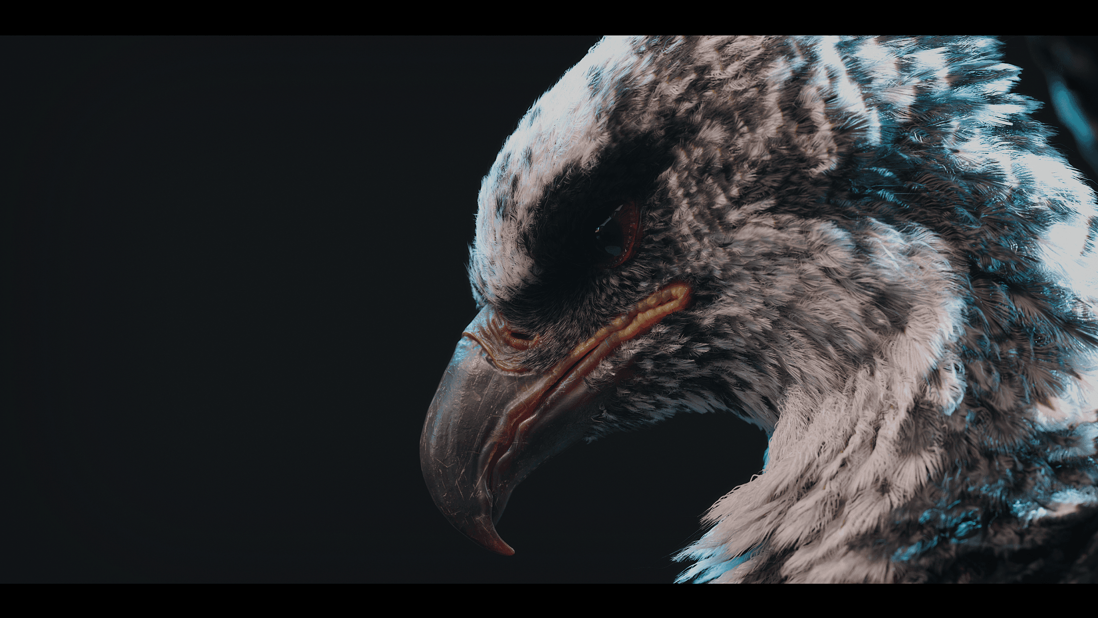 Black Phoenix
