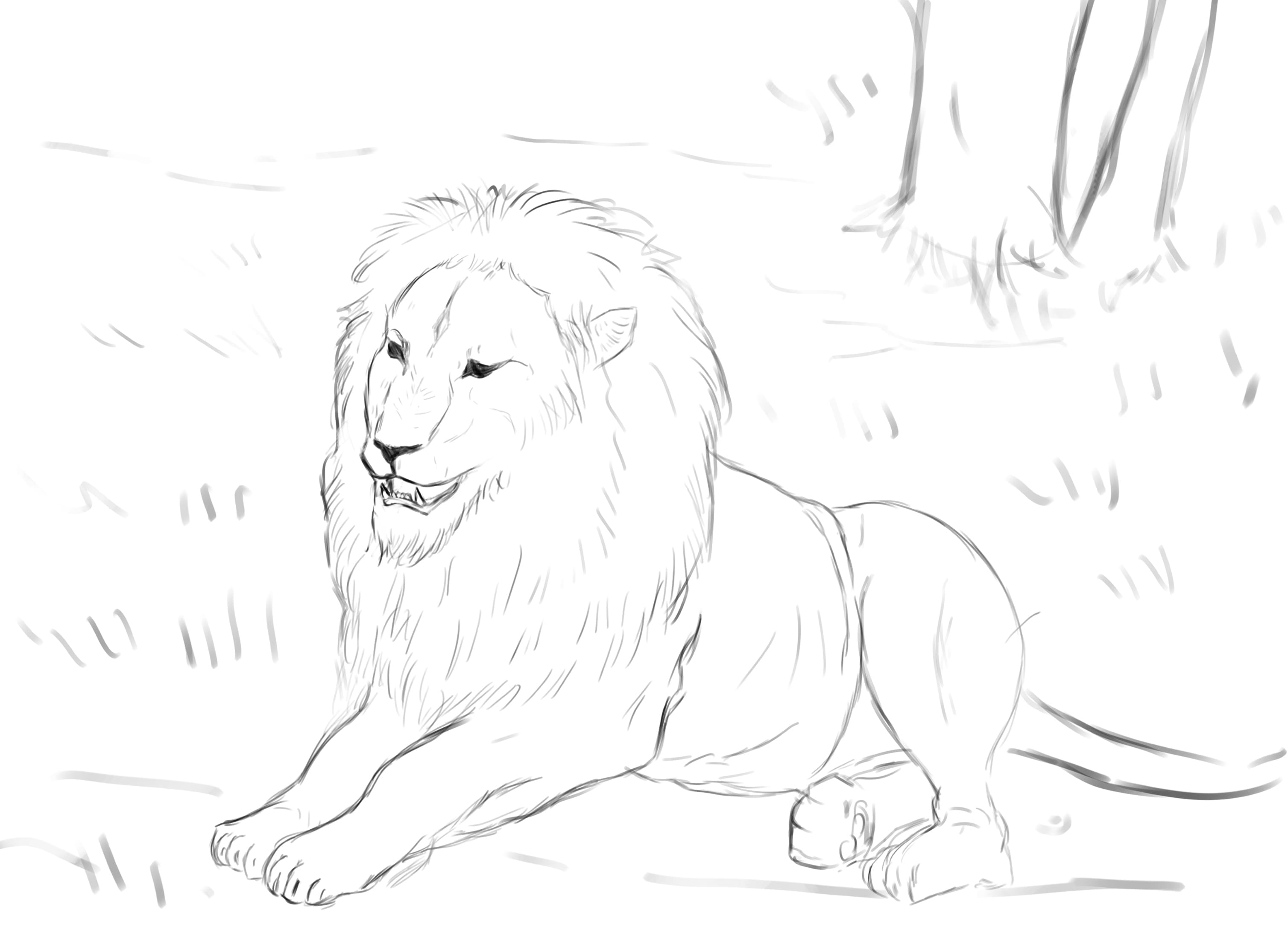 LION