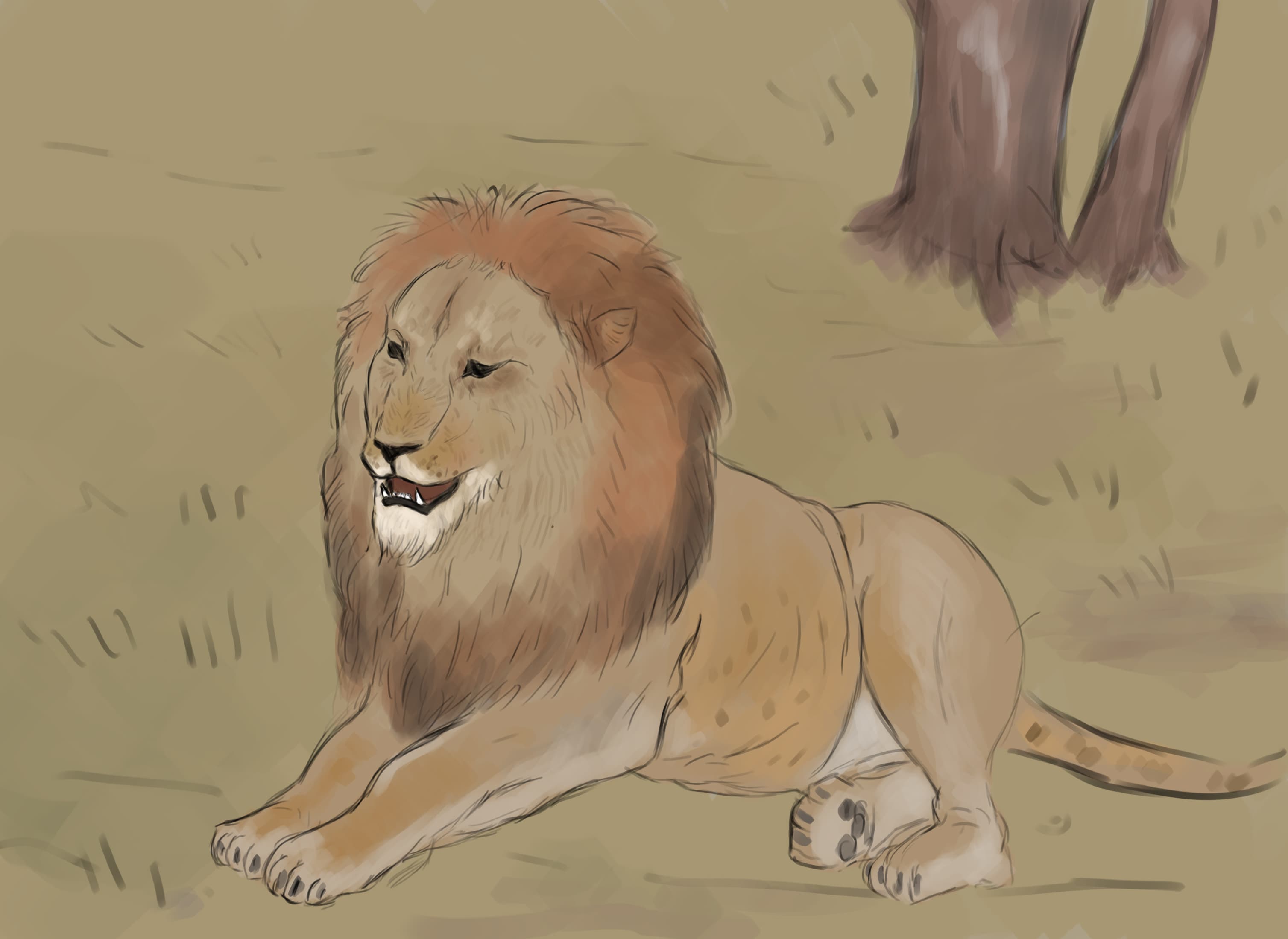 LION