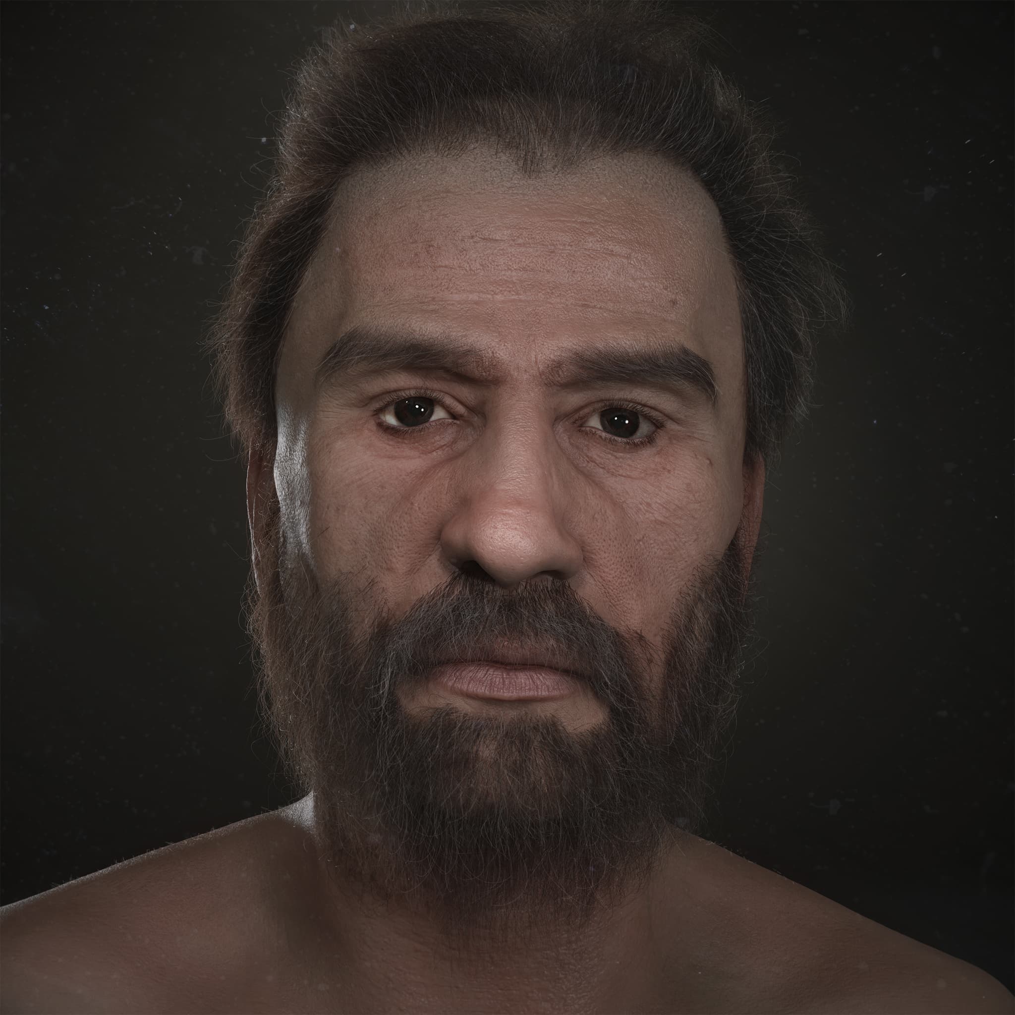 تکامل