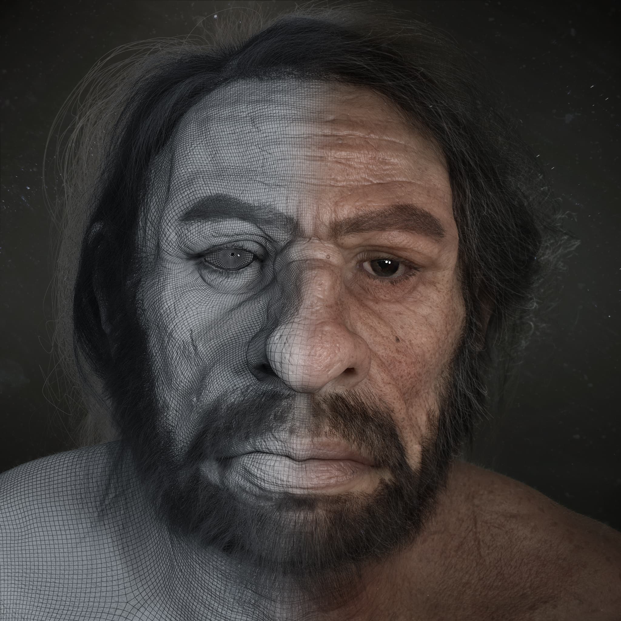 تکامل