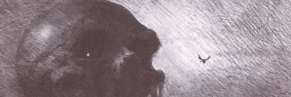 کاور پروفایل فاطمه کریمی