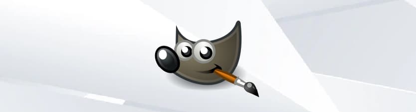Gimp